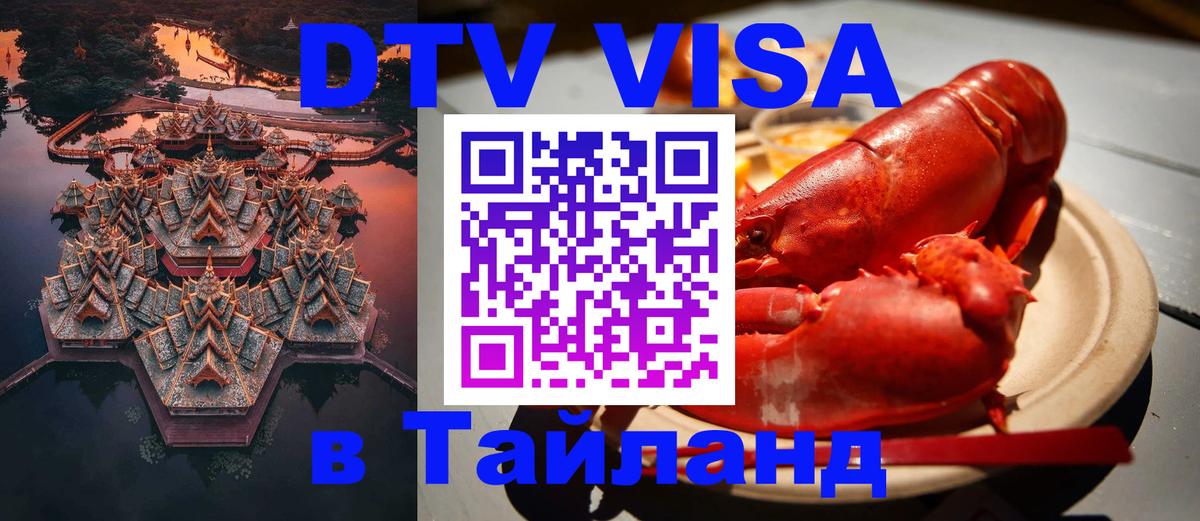 Сколько стоит DTV виза — актуальные цены, оформление даже без документов - Вашингтон 